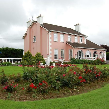 Ballingowan House Newcastle West Luaran gambar