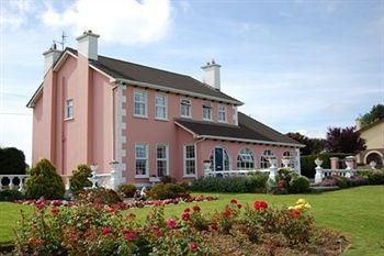Ballingowan House Newcastle West Luaran gambar