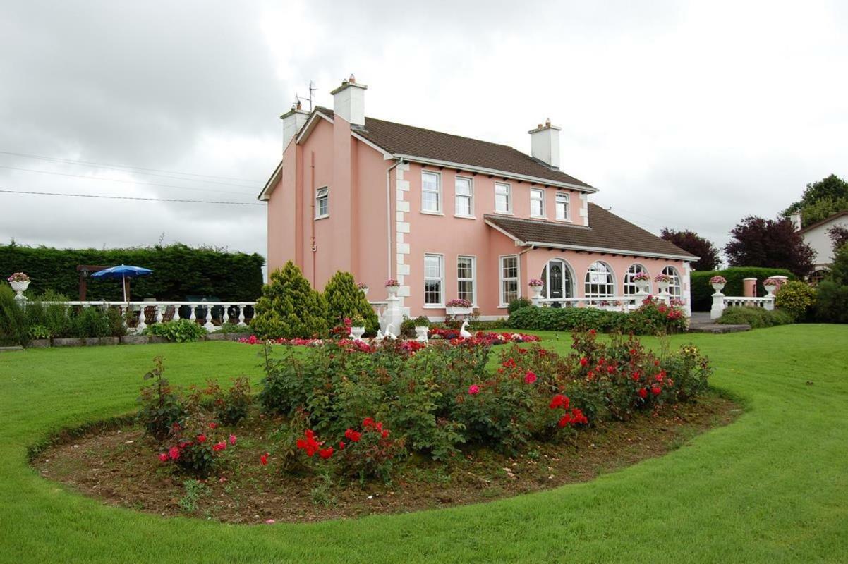 Ballingowan House Newcastle West Luaran gambar